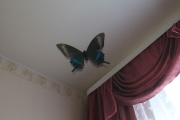 фотопечать бабочка на натяжном потолке